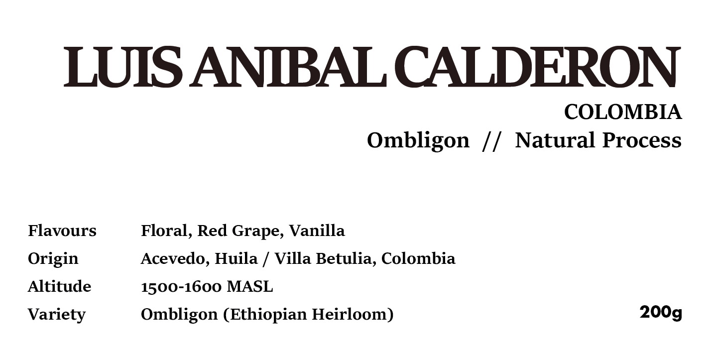 Drip Bag - Luis Anibal OMBLIGON COLOMBIA Natural Process