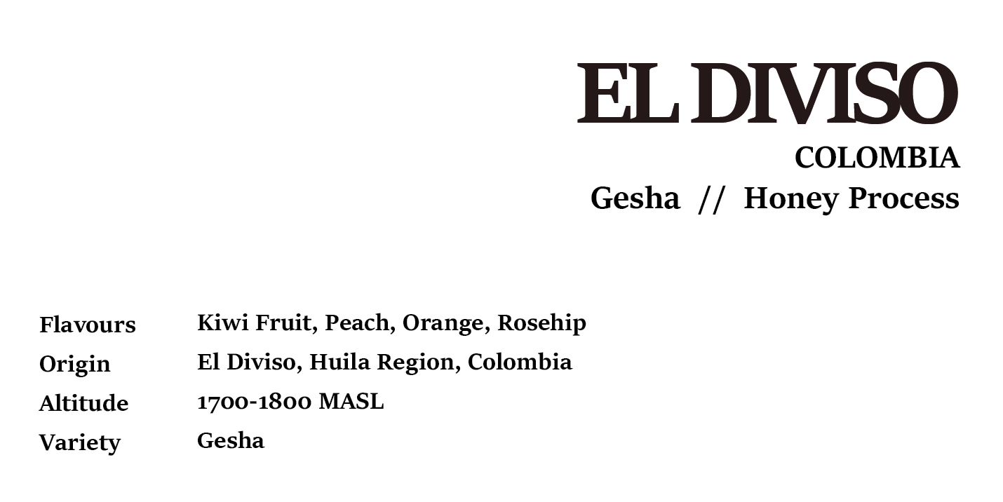 Drip Bag - El Diviso Gesha COLOMBIA Honey Process