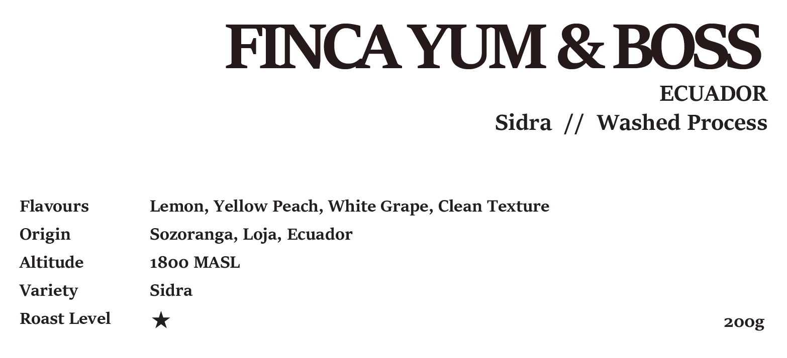 ECUADOR FINCA YUM&BOSS SIDRA WASHED 200g