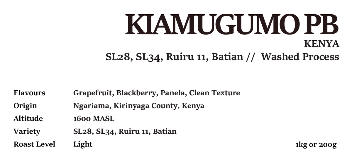 KIAMUGUMO PB KENYA Washed Process 200g