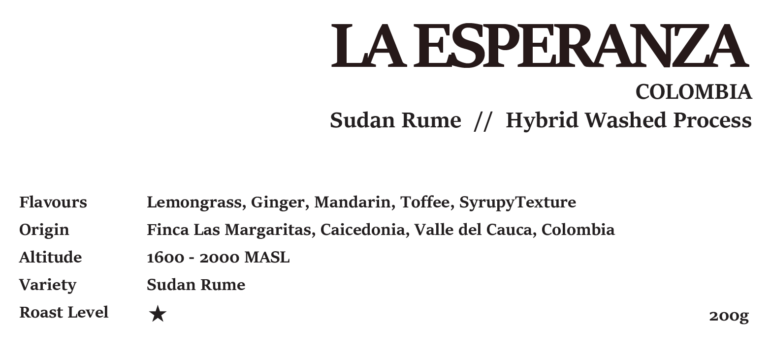 LA ESPERANZA SUDAN RUME COLOMBIA WASHED 200g