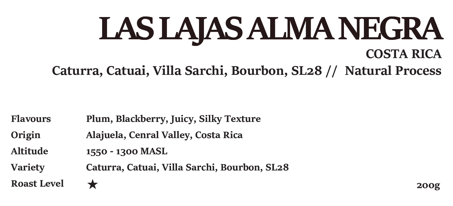 LAS LAJAS ALMA NEGRA COSTA RICA Natural Process 200g