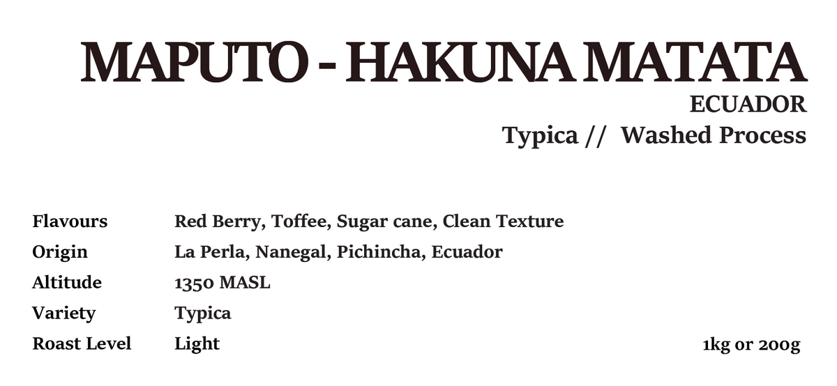 ECUADOR - Hakuna matata WASHED 200g/1kg