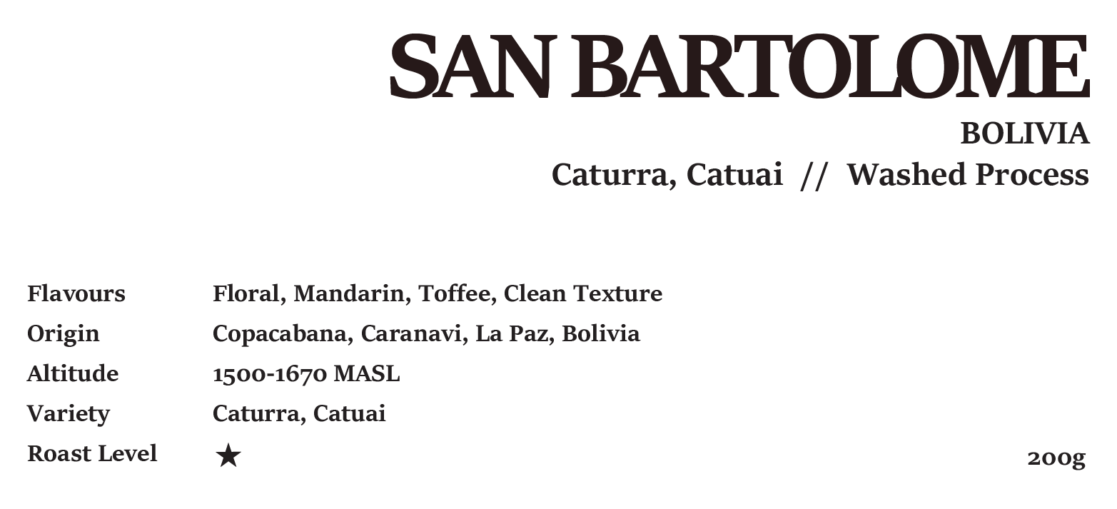 Bolivia San Bartolome Julio Palli Washed 200g