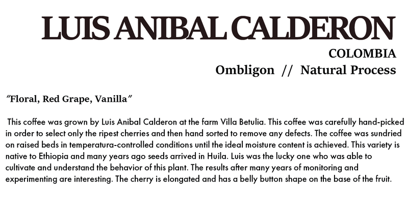 LUIS ANIBAL CALDERON COLOMBIA Natural Process 200g
