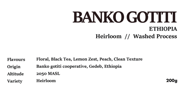 BANKO GOTITI ETHIOPIA Washed Process 200g