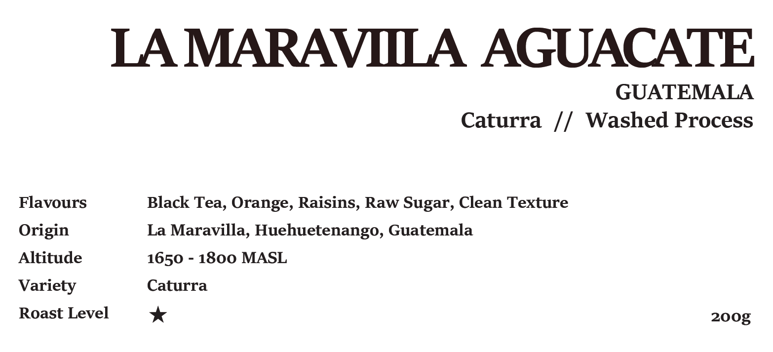 LA MARAVILLA AGUACATE GUATEMALA Washed Process 200G/1KG
