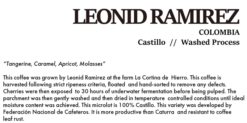 LEONID RAMIREZ CASTILLO  COLOMBIA Washed Process 200g