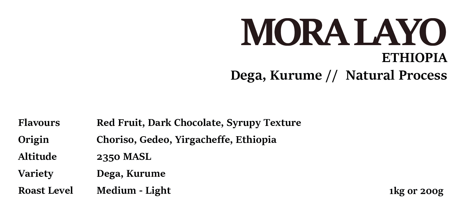 MORA LAYO ETHIOPIA Natural Process 200g/1kg
